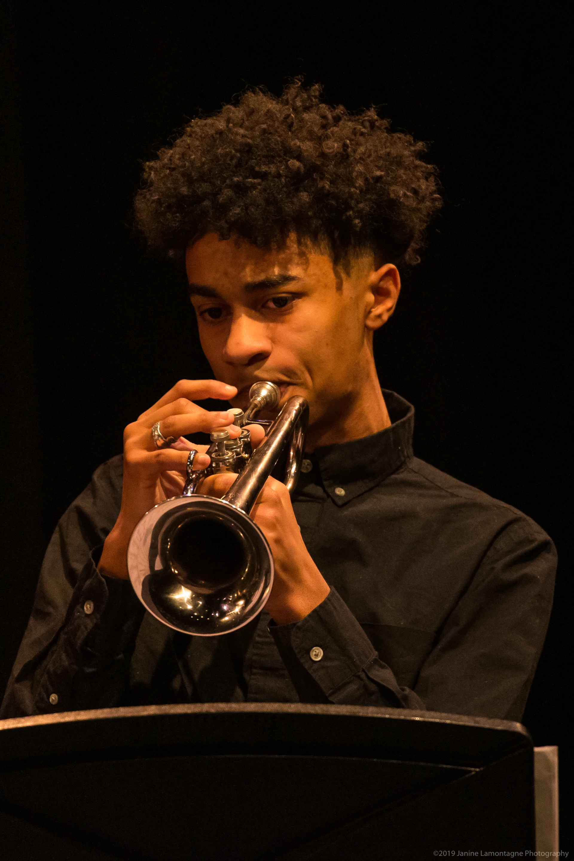 All That Jazz 2019 6326 Copy.webp